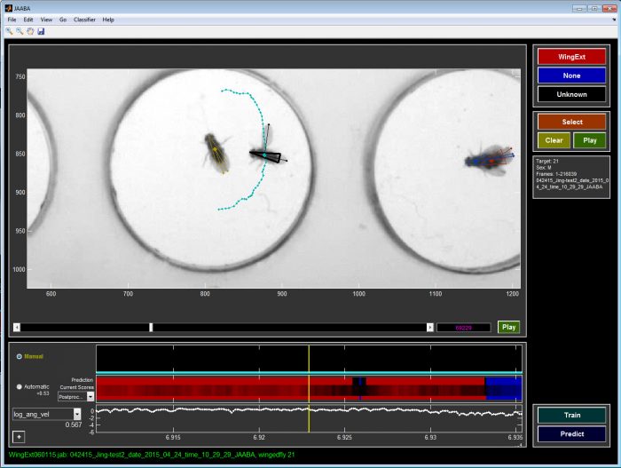 Drosophila behaviors can be rapidly and objectively quantified by JAABA, a program based on machine learning (developed by Dr. Kristin Branson at Howard Hughes Medical Institute Janelia Research Campus)